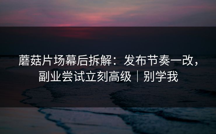蘑菇片场幕后拆解：发布节奏一改，副业尝试立刻高级｜别学我